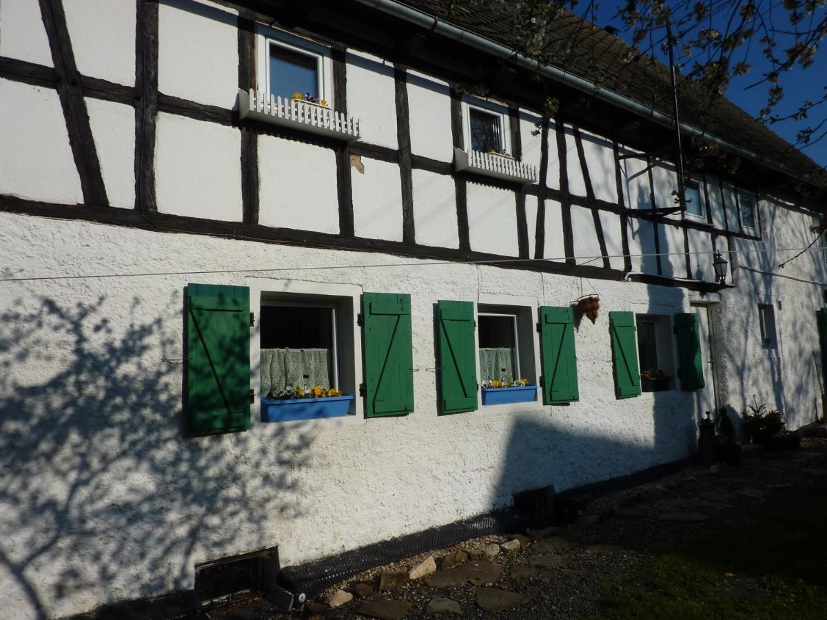 Kowalowka Appartement Mirsk Buitenkant foto